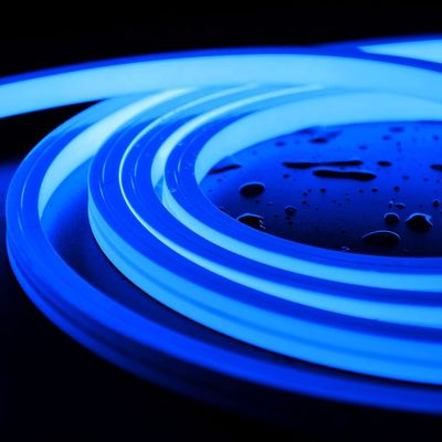 luzes de tira conduzidas impermeáveis claras de néon endereçáveis Ip68 das tiras 24V para a decoração exterior