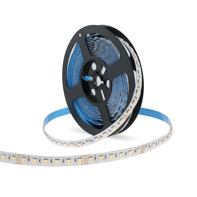 Rgbww 5 em 1 Smd 5050 Rgb conduziu Rgb Cct 120 Led/M endereçáveis 12v 24v