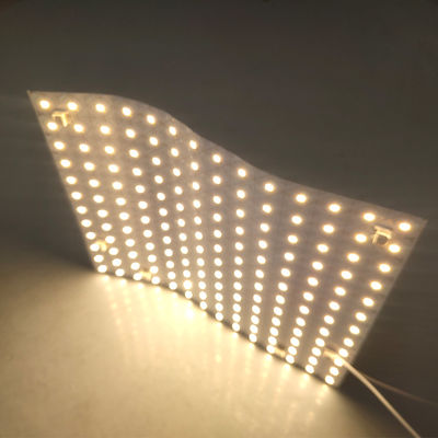 Luminoso endereçável conduzido ideal do RGB 5050SMD individualmente Digitas da folha de cor completa