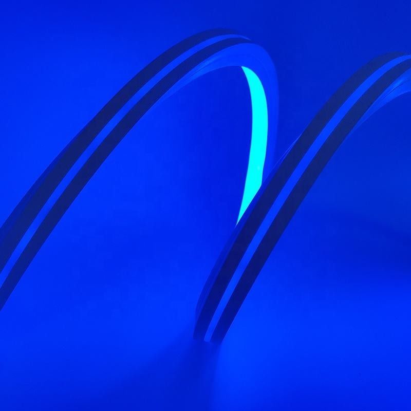 O silicone endereçável 12v dobra 5m que o sonho claro de néon da tira colore o RGB palavras de 16 X de 16MM DIY